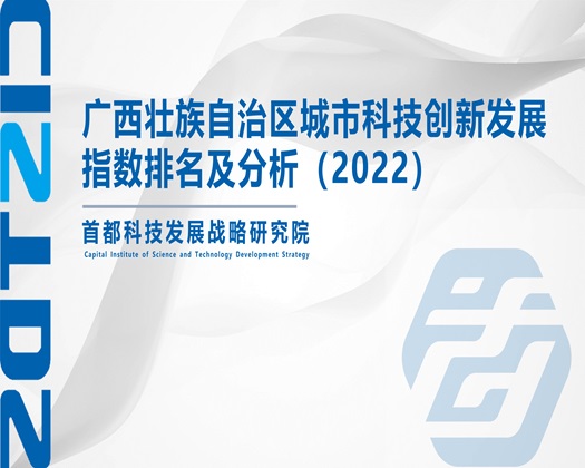 撸屄影视【成果发布】广西壮族自治区城市科技创新发展指数排名及分析（2022）